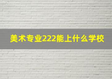 美术专业222能上什么学校