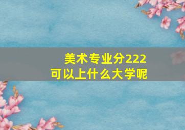 美术专业分222可以上什么大学呢