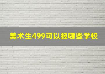 美术生499可以报哪些学校