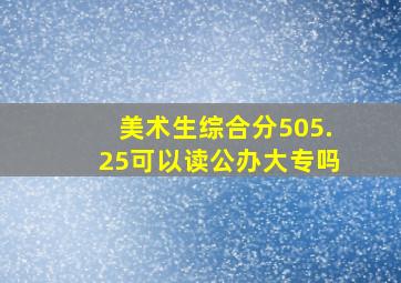 美术生综合分505.25可以读公办大专吗