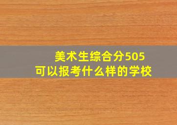 美术生综合分505可以报考什么样的学校