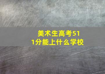 美术生高考511分能上什么学校