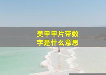 美甲甲片带数字是什么意思