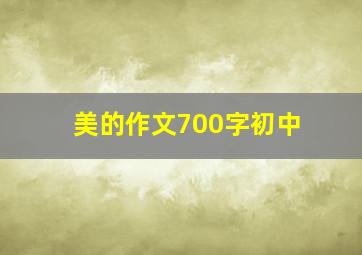 美的作文700字初中