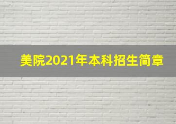 美院2021年本科招生简章