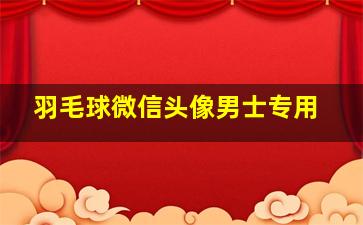 羽毛球微信头像男士专用