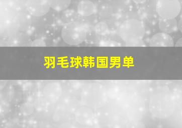 羽毛球韩国男单