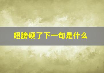 翅膀硬了下一句是什么