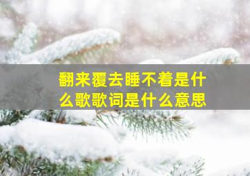 翻来覆去睡不着是什么歌歌词是什么意思