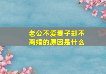 老公不爱妻子却不离婚的原因是什么