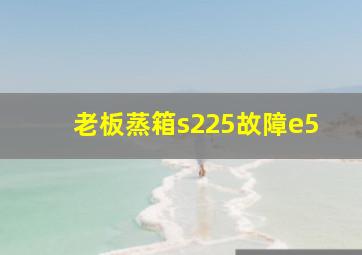 老板蒸箱s225故障e5