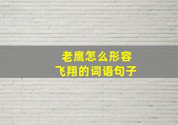 老鹰怎么形容飞翔的词语句子