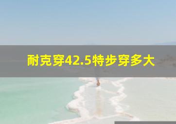 耐克穿42.5特步穿多大