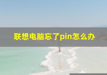 联想电脑忘了pin怎么办