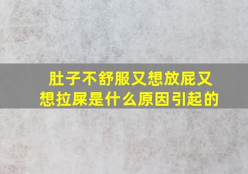 肚子不舒服又想放屁又想拉屎是什么原因引起的