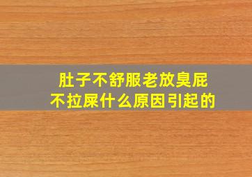 肚子不舒服老放臭屁不拉屎什么原因引起的