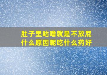 肚子里咕噜就是不放屁什么原因呢吃什么药好