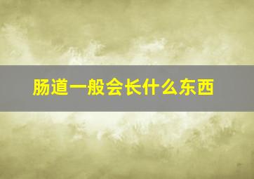 肠道一般会长什么东西