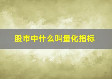 股市中什么叫量化指标