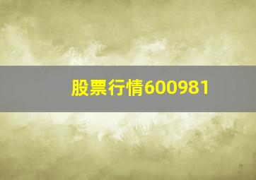 股票行情600981