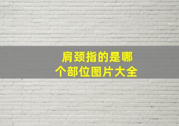 肩颈指的是哪个部位图片大全