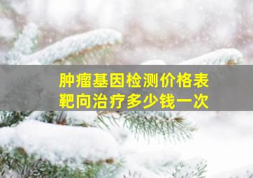 肿瘤基因检测价格表靶向治疗多少钱一次