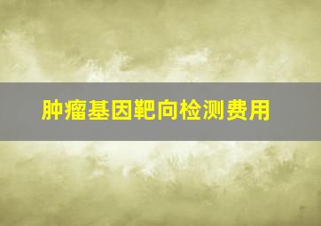 肿瘤基因靶向检测费用