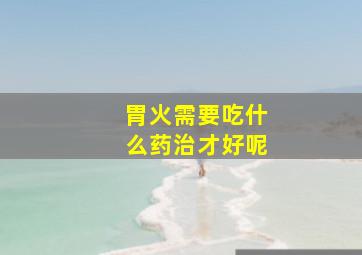 胃火需要吃什么药治才好呢