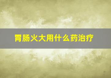 胃肠火大用什么药治疗