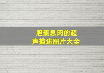 胆囊息肉的超声描述图片大全