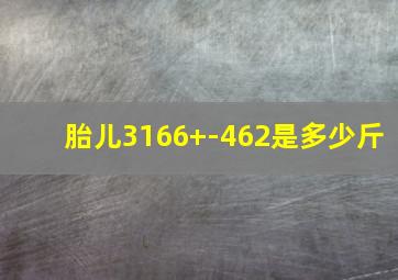 胎儿3166+-462是多少斤