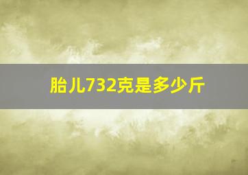 胎儿732克是多少斤