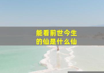 能看前世今生的仙是什么仙