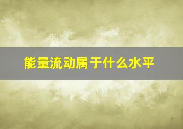 能量流动属于什么水平