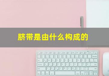 脐带是由什么构成的