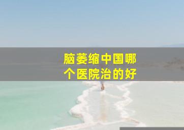 脑萎缩中国哪个医院治的好