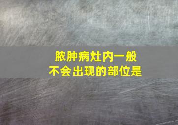 脓肿病灶内一般不会出现的部位是