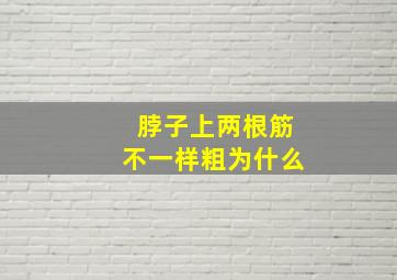 脖子上两根筋不一样粗为什么