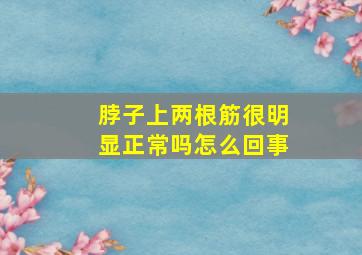 脖子上两根筋很明显正常吗怎么回事