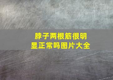 脖子两根筋很明显正常吗图片大全