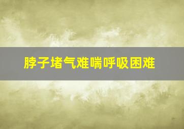 脖子堵气难喘呼吸困难