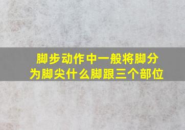 脚步动作中一般将脚分为脚尖什么脚跟三个部位