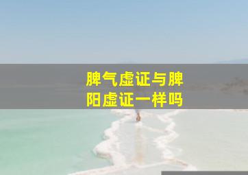 脾气虚证与脾阳虚证一样吗