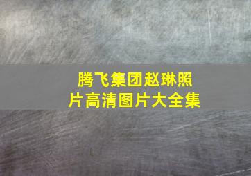 腾飞集团赵琳照片高清图片大全集