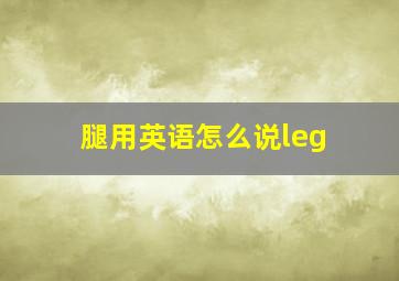 腿用英语怎么说leg