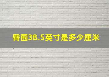 臀围38.5英寸是多少厘米