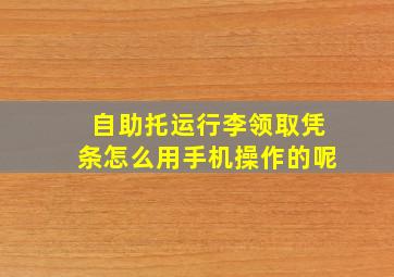 自助托运行李领取凭条怎么用手机操作的呢