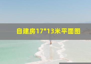 自建房17*13米平面图