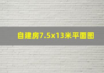 自建房7.5x13米平面图