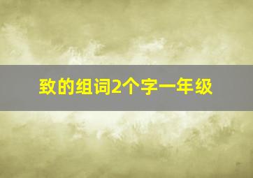 致的组词2个字一年级